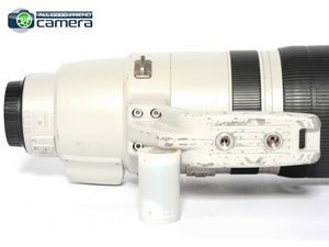 Canon EF 200-400mm F/4 L IS USM Lens Extender 1.4x