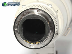 Canon EF 600mm F/4 L IS II USM Lens *EX*